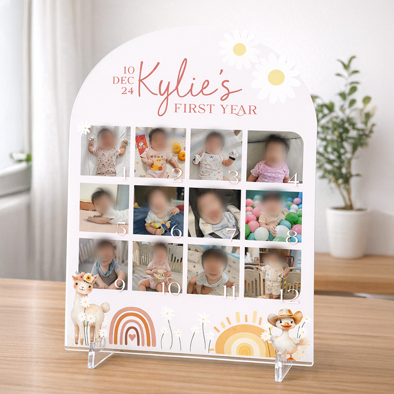 Baby Monthly Milestone Board